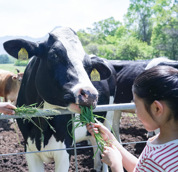 八ヶ岳農業大学校 体験ワークショップ イメージ2