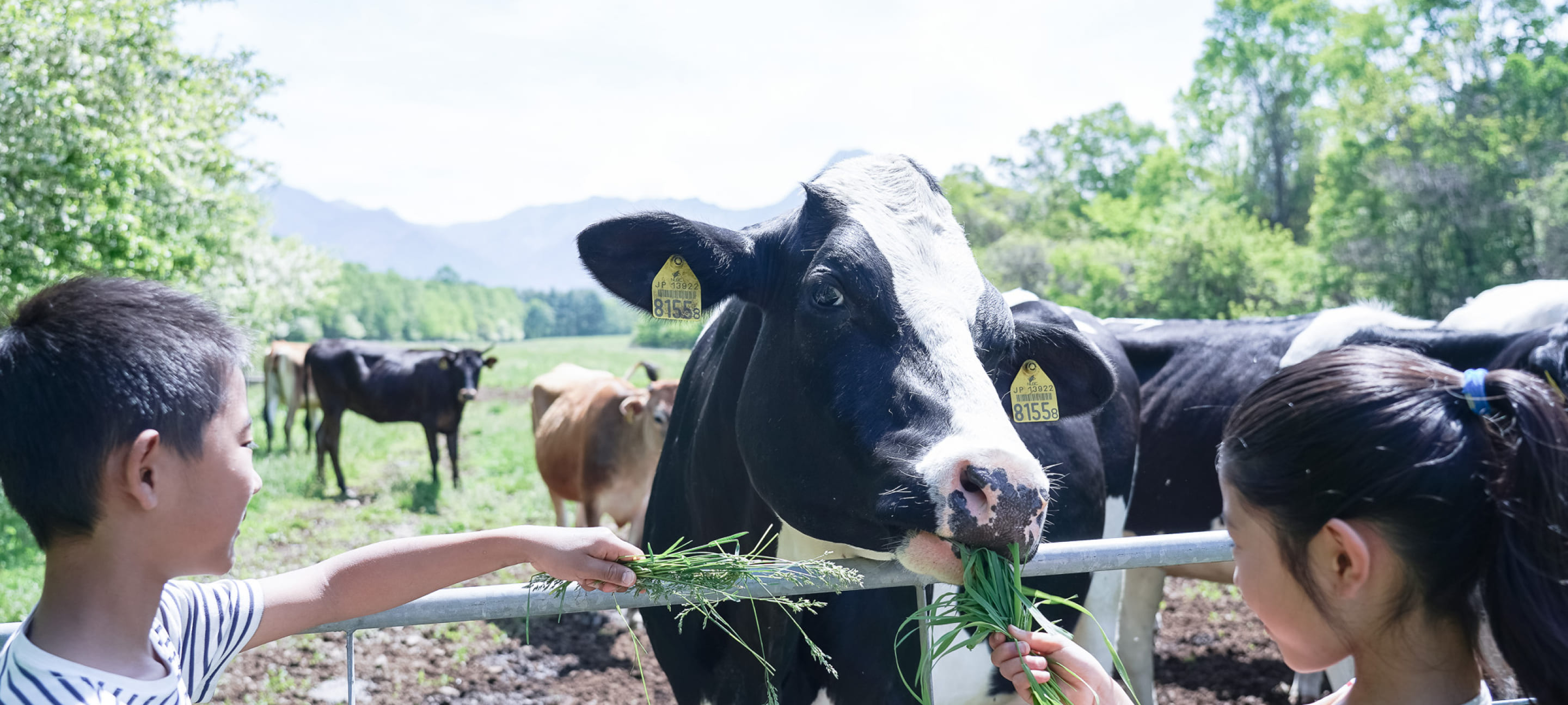 八ヶ岳農業大学校 体験ワークショップ イメージ2